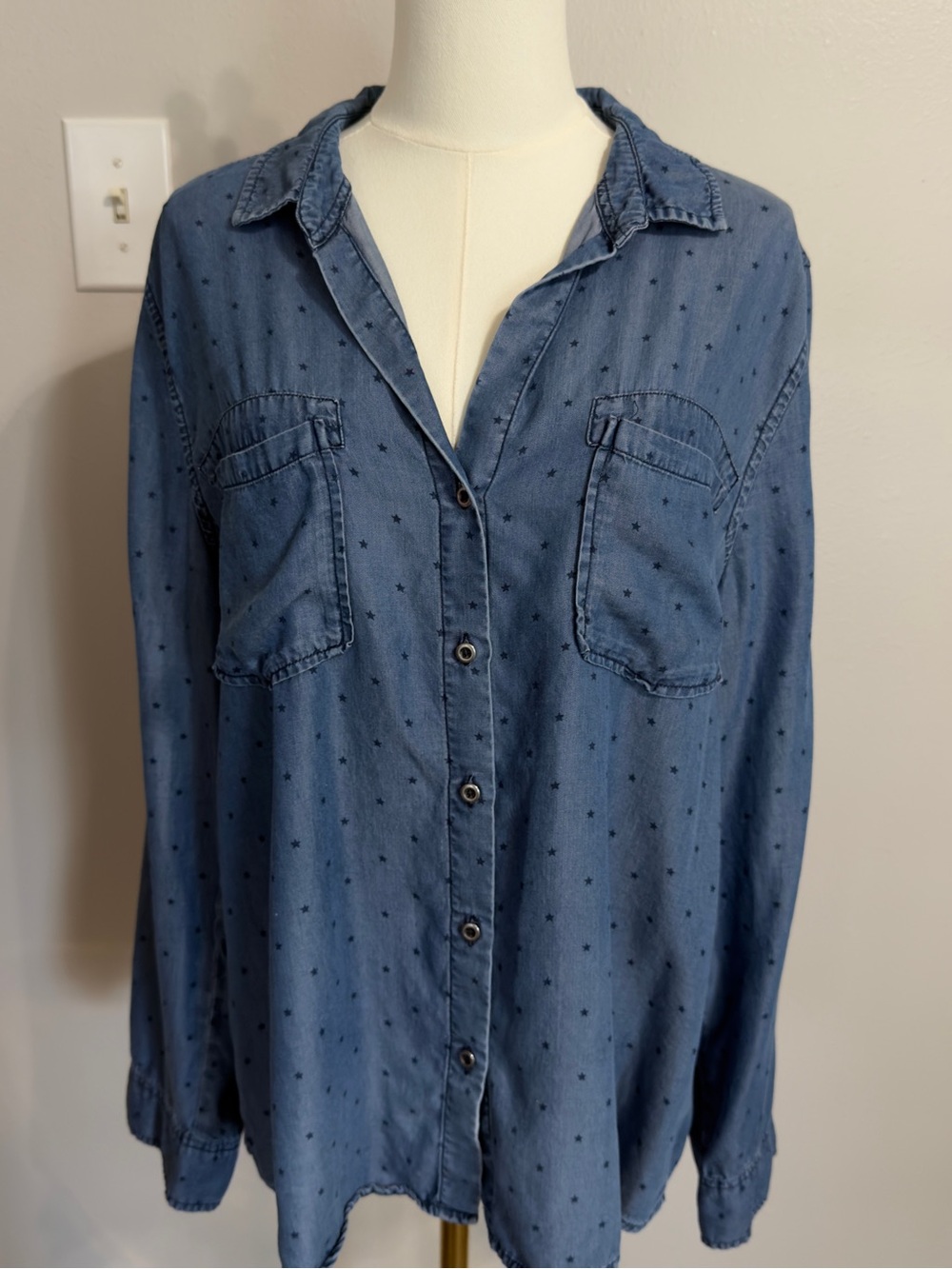 Standard Grace Blue Star Print Chambray Button Down Shirt Size